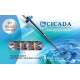 Машинні файли CICADA RT Ретритмент